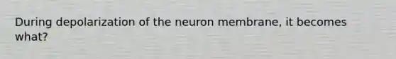 During depolarization of the neuron membrane, it becomes what?