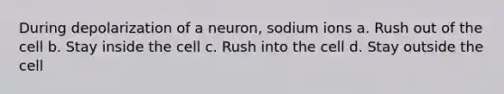 During depolarization of a neuron, sodium ions a. Rush out of the cell b. Stay inside the cell c. Rush into the cell d. Stay outside the cell