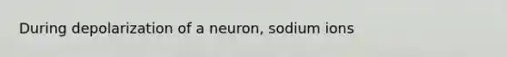 During depolarization of a neuron, sodium ions