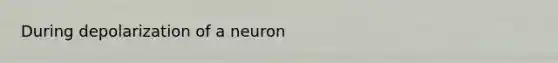 During depolarization of a neuron