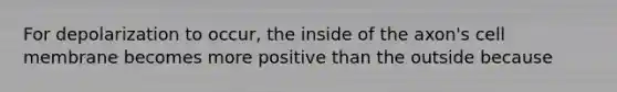 For depolarization to occur, the inside of the axon's cell membrane becomes more positive than the outside because