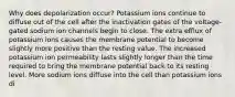 Why does depolarization occur? Potassium ions continue to diffuse out of the cell after the inactivation gates of the voltage-gated sodium ion channels begin to close. The extra efflux of potassium ions causes the membrane potential to become slightly more positive than the resting value. The increased potassium ion permeability lasts slightly longer than the time required to bring the membrane potential back to its resting level. More sodium ions diffuse into the cell than potassium ions di