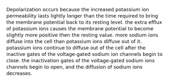 Depolarization occurs because the increased potassium ion permeability lasts lightly longer than the time required to bring the membrane potential back to its resting level. the extra efflux of potassium ions causes the membrane potential to become slightly more positive then the resting value. more sodium ions diffuse into the cell than potassium ions diffuse out of it. potassium ions continue to diffuse out of the cell after the inactive gates of the voltage-gated sodium ion channels begin to close. the inactivation gates of the voltage-gated sodium ions channels begin to open, and the diffusion of sodium ions decreases.