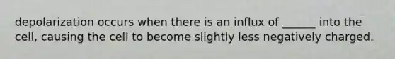depolarization occurs when there is an influx of ______ into the cell, causing the cell to become slightly less negatively charged.