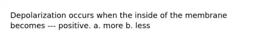 Depolarization occurs when the inside of the membrane becomes --- positive. a. more b. less