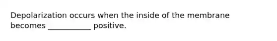 Depolarization occurs when the inside of the membrane becomes ___________ positive.