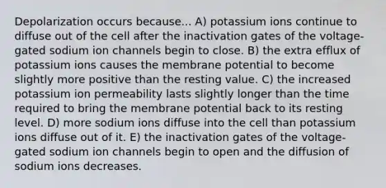 Depolarization occurs because... A) potassium ions continue to diffuse out of the cell after the inactivation gates of the voltage-gated sodium ion channels begin to close. B) the extra efflux of potassium ions causes the membrane potential to become slightly more positive than the resting value. C) the increased potassium ion permeability lasts slightly longer than the time required to bring the membrane potential back to its resting level. D) more sodium ions diffuse into the cell than potassium ions diffuse out of it. E) the inactivation gates of the voltage-gated sodium ion channels begin to open and the diffusion of sodium ions decreases.