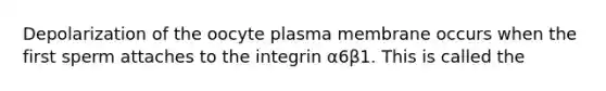 Depolarization of the oocyte plasma membrane occurs when the first sperm attaches to the integrin α6β1. This is called the