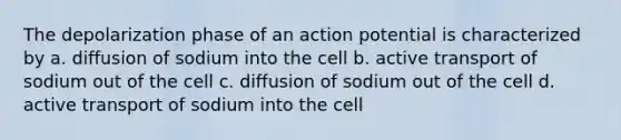 The depolarization phase of an action potential is characterized by a. diffusion of sodium into the cell b. active transport of sodium out of the cell c. diffusion of sodium out of the cell d. active transport of sodium into the cell