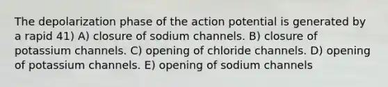 The depolarization phase of the action potential is generated by a rapid 41) A) closure of sodium channels. B) closure of potassium channels. C) opening of chloride channels. D) opening of potassium channels. E) opening of sodium channels