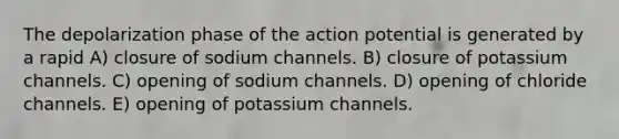 The depolarization phase of the action potential is generated by a rapid A) closure of sodium channels. B) closure of potassium channels. C) opening of sodium channels. D) opening of chloride channels. E) opening of potassium channels.