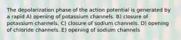 The depolarization phase of the action potential is generated by a rapid A) opening of potassium channels. B) closure of potassium channels. C) closure of sodium channels. D) opening of chloride channels. E) opening of sodium channels