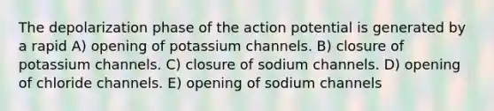 The depolarization phase of the action potential is generated by a rapid A) opening of potassium channels. B) closure of potassium channels. C) closure of sodium channels. D) opening of chloride channels. E) opening of sodium channels