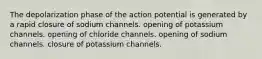 The depolarization phase of the action potential is generated by a rapid closure of sodium channels. opening of potassium channels. opening of chloride channels. opening of sodium channels. closure of potassium channels.