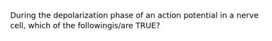 During the depolarization phase of an action potential in a nerve cell, which of the followingis/are TRUE?