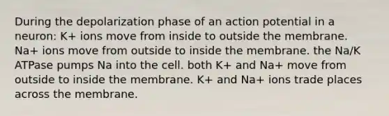 During the depolarization phase of an action potential in a neuron: K+ ions move from inside to outside the membrane. Na+ ions move from outside to inside the membrane. the Na/K ATPase pumps Na into the cell. both K+ and Na+ move from outside to inside the membrane. K+ and Na+ ions trade places across the membrane.