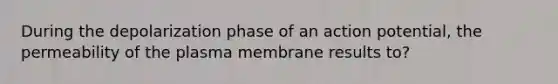 During the depolarization phase of an action potential, the permeability of the plasma membrane results to?