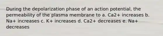 During the depolarization phase of an action potential, the permeability of the plasma membrane to a. Ca2+ increases b. Na+ increases c. K+ increases d. Ca2+ decreases e. Na+ decreases