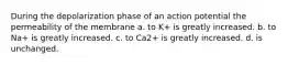 During the depolarization phase of an action potential the permeability of the membrane a. to K+ is greatly increased. b. to Na+ is greatly increased. c. to Ca2+ is greatly increased. d. is unchanged.