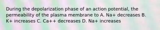 During the depolarization phase of an action potential, the permeability of the plasma membrane to A. Na+ decreases B. K+ increases C. Ca++ decreases D. Na+ increases