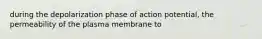 during the depolarization phase of action potential, the permeability of the plasma membrane to