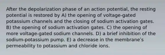 After the depolarization phase of an action potential, the resting potential is restored by A) the opening of voltage-gated potassium channels and the closing of sodium activation gates. B) the opening of sodium activation gates. C) the opening of more voltage-gated sodium channels. D) a brief inhibition of the sodium-potassium pump. E) a decrease in the membraneʹs permeability to potassium and chloride ions.