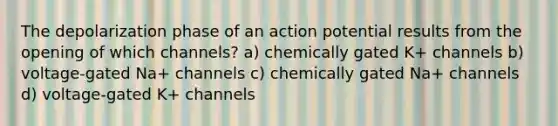 The depolarization phase of an action potential results from the opening of which channels? a) chemically gated K+ channels b) voltage-gated Na+ channels c) chemically gated Na+ channels d) voltage-gated K+ channels