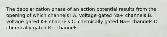 The depolarization phase of an action potential results from the opening of which channels? A. voltage-gated Na+ channels B. voltage-gated K+ channels C. chemically gated Na+ channels D. chemically gated K+ channels