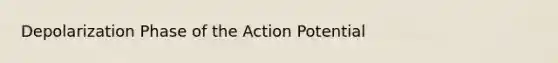 Depolarization Phase of the Action Potential