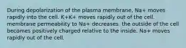 During depolarization of the plasma membrane, Na+ moves rapidly into the cell. K+K+ moves rapidly out of the cell. membrane permeability to Na+ decreases. the outside of the cell becomes positively charged relative to the inside. Na+ moves rapidly out of the cell.