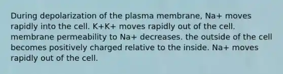 During depolarization of the plasma membrane, Na+ moves rapidly into the cell. K+K+ moves rapidly out of the cell. membrane permeability to Na+ decreases. the outside of the cell becomes positively charged relative to the inside. Na+ moves rapidly out of the cell.