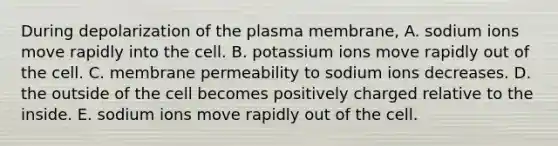 During depolarization of the plasma membrane, A. sodium ions move rapidly into the cell. B. potassium ions move rapidly out of the cell. C. membrane permeability to sodium ions decreases. D. the outside of the cell becomes positively charged relative to the inside. E. sodium ions move rapidly out of the cell.