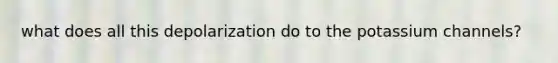 what does all this depolarization do to the potassium channels?
