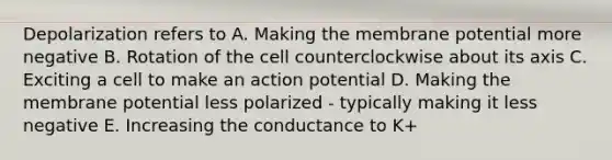 Depolarization refers to A. Making the membrane potential more negative B. Rotation of the cell counterclockwise about its axis C. Exciting a cell to make an action potential D. Making the membrane potential less polarized - typically making it less negative E. Increasing the conductance to K+