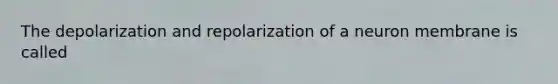 The depolarization and repolarization of a neuron membrane is called