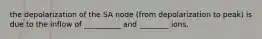 the depolarization of the SA node (from depolarization to peak) is due to the inflow of __________ and ________ ions.