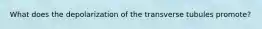 What does the depolarization of the transverse tubules promote?