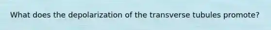 What does the depolarization of the transverse tubules promote?