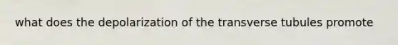 what does the depolarization of the transverse tubules promote