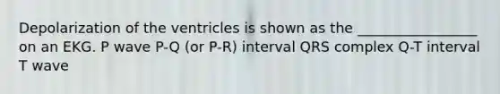 Depolarization of the ventricles is shown as the _________________ on an EKG. P wave P-Q (or P-R) interval QRS complex Q-T interval T wave