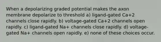 When a depolarizing graded potential makes the axon membrane depolarize to threshold a) ligand-gated Ca+2 channels close rapidly. b) voltage-gated Ca+2 channels open rapidly. c) ligand-gated Na+ channels close rapidly. d) voltage-gated Na+ channels open rapidly. e) none of these choices occur.