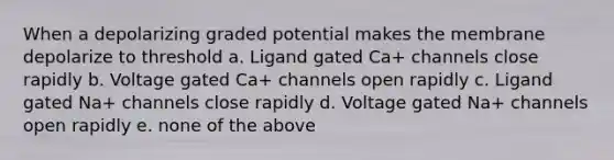 When a depolarizing graded potential makes the membrane depolarize to threshold a. Ligand gated Ca+ channels close rapidly b. Voltage gated Ca+ channels open rapidly c. Ligand gated Na+ channels close rapidly d. Voltage gated Na+ channels open rapidly e. none of the above