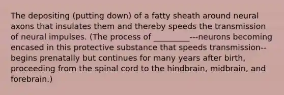 The depositing (putting down) of a fatty sheath around neural axons that insulates them and thereby speeds the transmission of neural impulses. (The process of _________---neurons becoming encased in this protective substance that speeds transmission--begins prenatally but continues for many years after birth, proceeding from the spinal cord to the hindbrain, midbrain, and forebrain.)