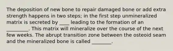 The deposition of new bone to repair damaged bone or add extra strength happens in two steps; in the first step unmineralized matrix is secreted by ____ leading to the formation of an _________. This matrix will mineralize over the course of the next few weeks. The abrupt transition zone between the osteoid seam and the mineralized bone is called ________.