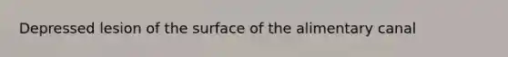 Depressed lesion of the surface of the alimentary canal