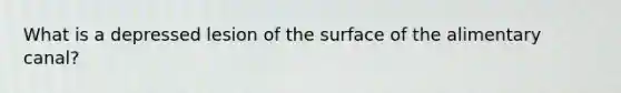 What is a depressed lesion of the surface of the alimentary canal?