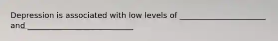 Depression is associated with low levels of ______________________ and ___________________________