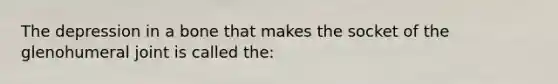 The depression in a bone that makes the socket of the glenohumeral joint is called the: