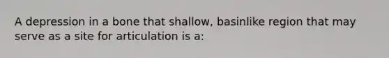 A depression in a bone that shallow, basinlike region that may serve as a site for articulation is a: