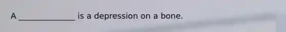 A ______________ is a depression on a bone.